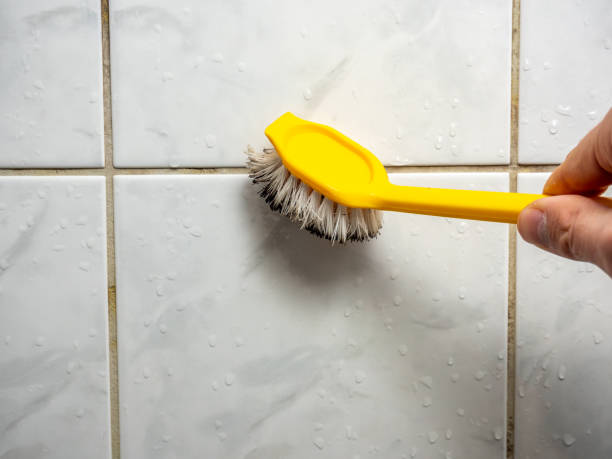 Best Office Mold Removal Services  in Parkland, FL