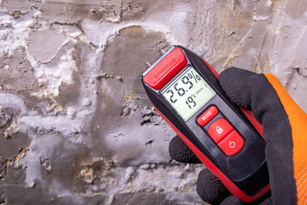 Best Mold Remediation  in Parkland, FL
